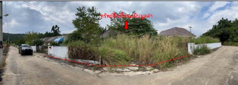 หนองแหน พนมสารคาม ฉะเชิงเทรา
