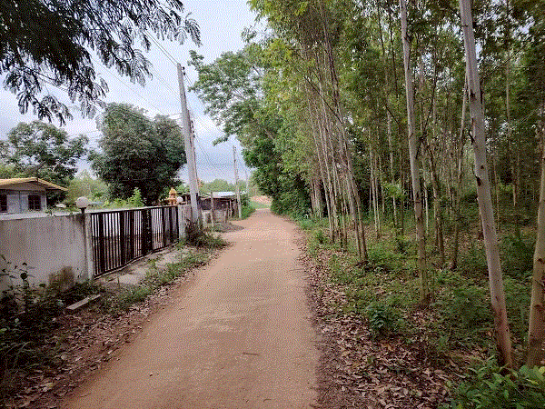 ขายบ้าน คู้ยายหมี สนามชัยเขต ฉะเชิงเทรา ขนาด 0-0-53-0 (ไร่-งาน-วา-เมตร) ของ ธนาคารกรุงเทพ