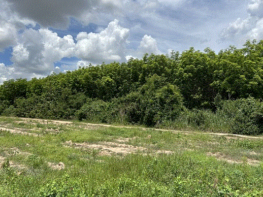 ขายที่ดิน